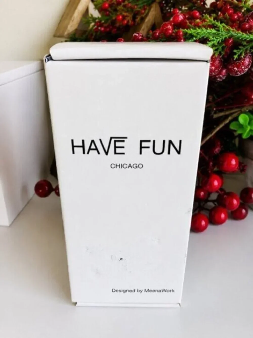 Have Fun Chicago Christmas Socks 5 Pack Deer Holiday Gift Set MeenaWork NIB